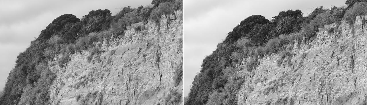 画像: RICOH GR Ⅳ Monochrome　vs　RICOH GR Ⅳ　解像