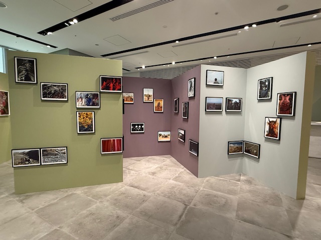 画像1: 竹沢うるま写真展「Boundaries」がart cruise gallery by Baycrew’s（東京・虎ノ門ヒルズ）で4月23日（木）～6月21日（日）に開催！