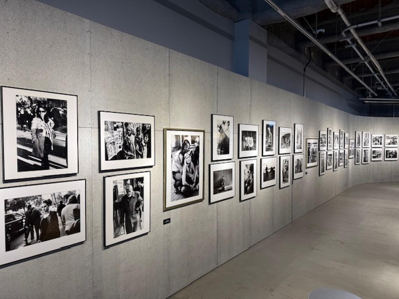 画像2: Ⓒ中藤毅彦