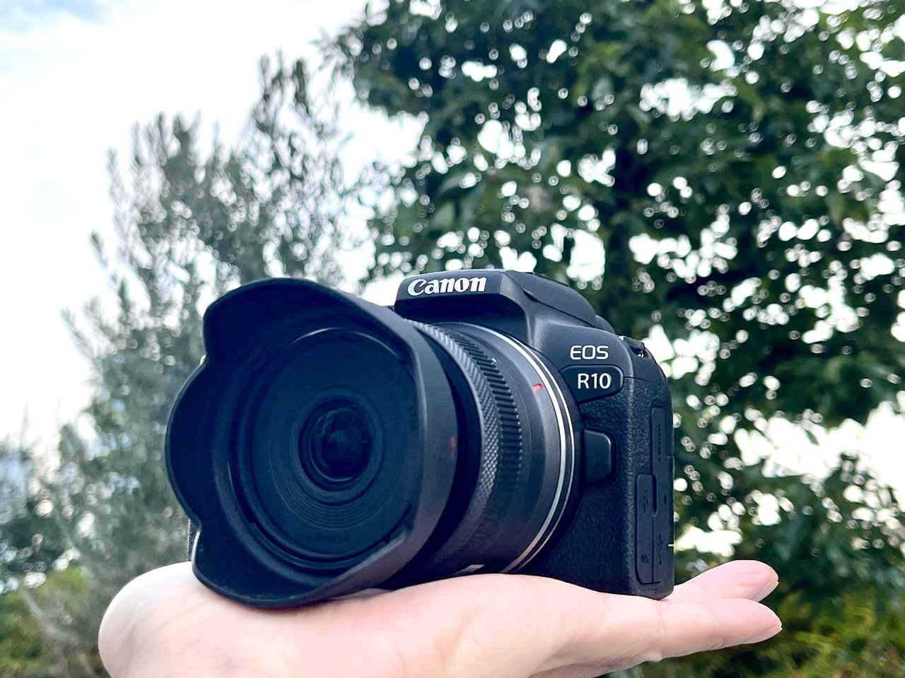 画像: Lens Impression! キヤノン　RF-S10-18mm F4.5-6.3 IS STM ●実勢価格：5万円（税込） ●photo＆text:豊田慶記 - Webカメラマン