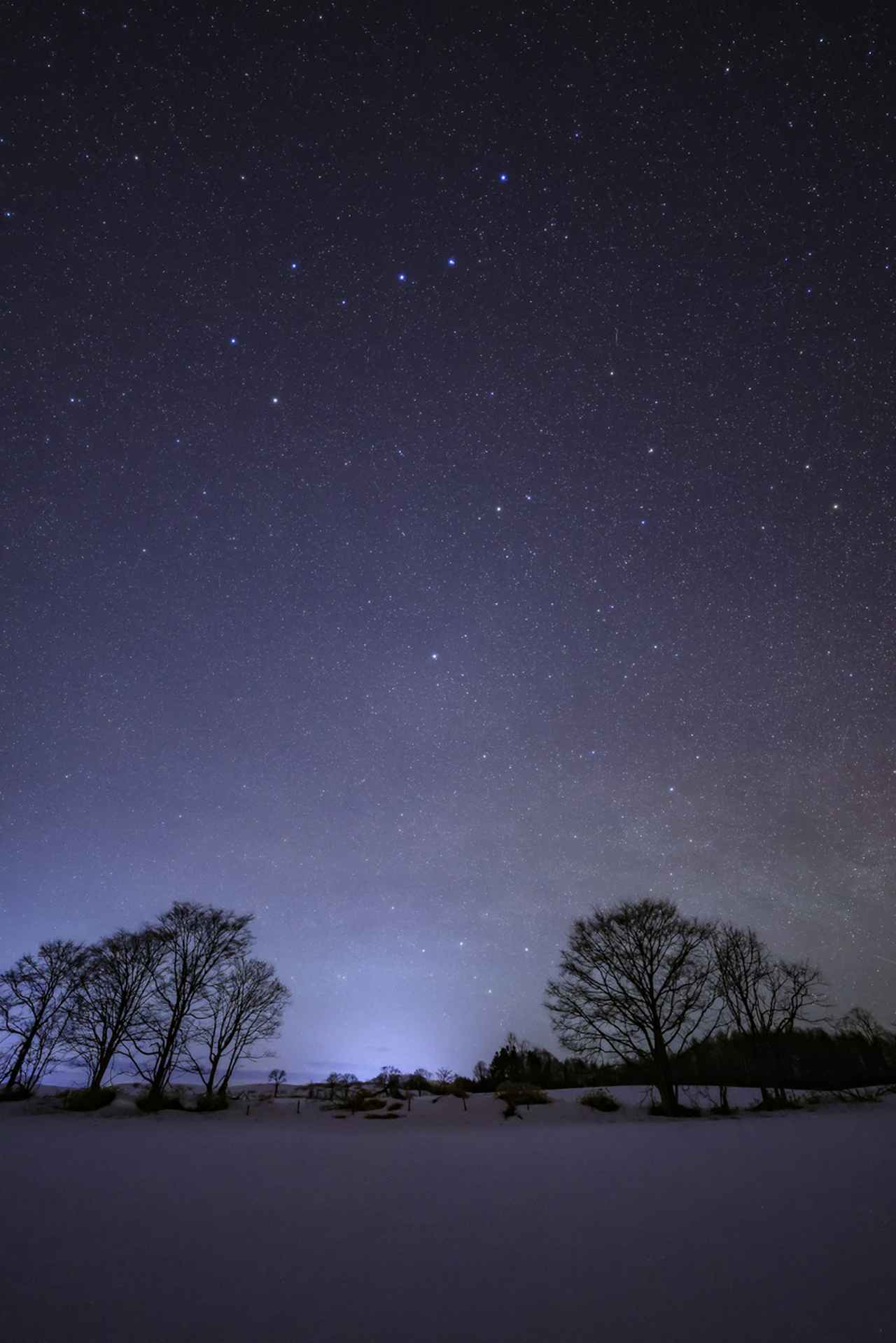画像: 北海道は北緯45度に位置すので、北極星が本州よりかなり高く見える。14ミリという画角は、北極星を中心に下方経過するカシオペアと、天頂に昇る北斗七星と地上の風景をバランス良く入れ込む事ができるのだ。F値が一般的なF2.8クラスのレンズより2段も明るいお陰で、ISO3200〜4000で適正露光が得られるので、今までよりクオリティの高い画像が得られる。また、周辺までほぼ完全点像を結ぶ星像のおかげでトリミング無しの画像が使える。 ■絞りF1.4　10秒　ISO3200　WB:3600K　※鶴居村