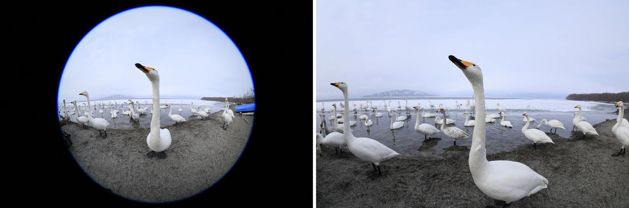 画像: ■ISO200　WB:オート　※屈斜路湖畔砂湯