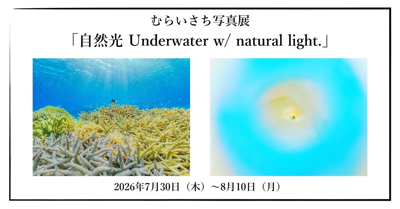 画像: 2026年7月30日（木）～8月10日（月）むらいさち 写真展「自然光 Underwater w/ natural light.」｜OM SYSTEM PLAZA