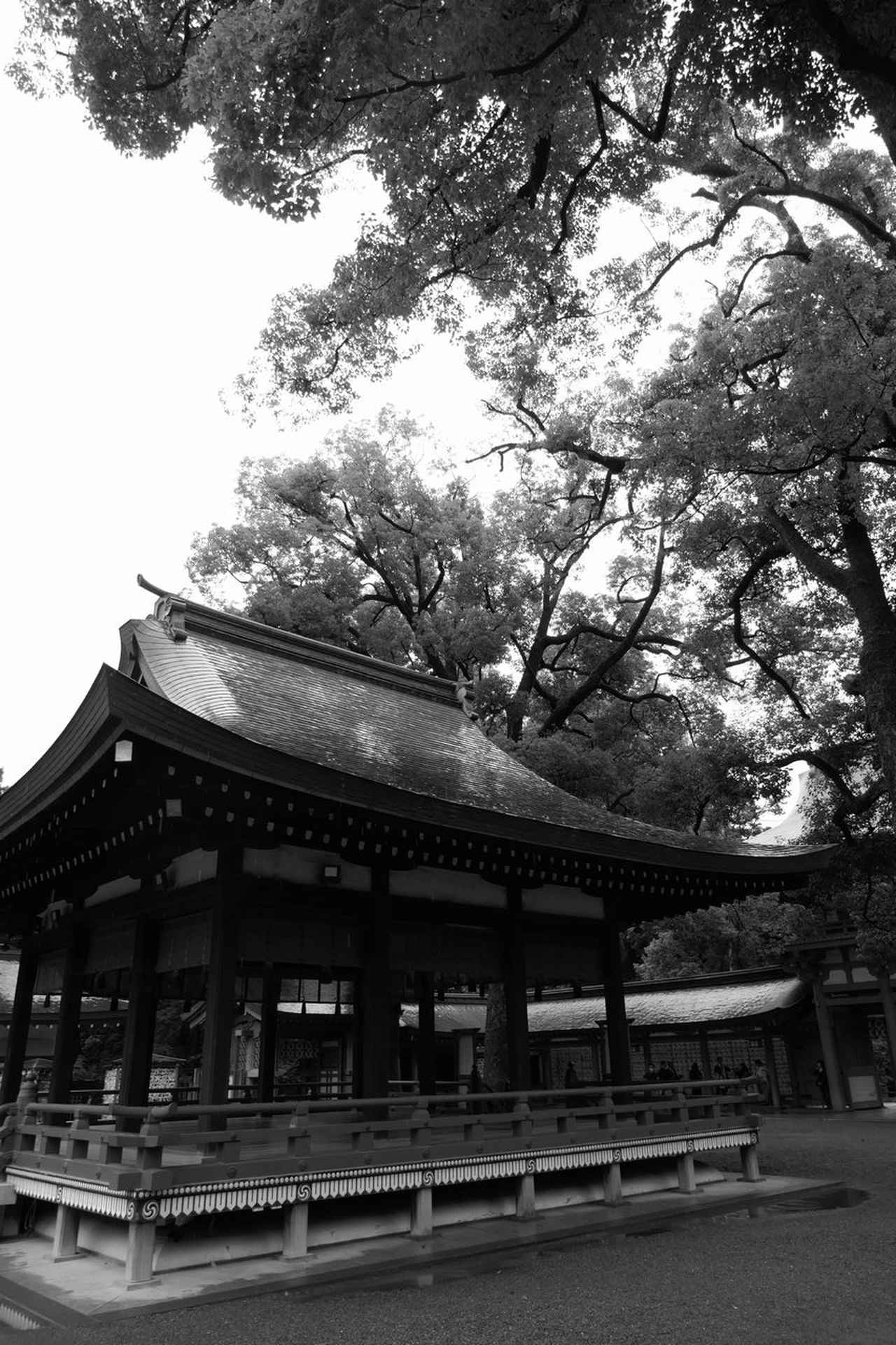 画像: 22種類の画像効果を搭載。モノクロだけでも複数のテイストがあり、お仕事以外でも撮影を楽しめる。ただし適用中はライブビューのフレームレートが著しく落ちる場合も。 ■24mm相当　プログラムAE（絞りF3.3 1/320秒）　ISO125　クリエイティブコントロール：モノクローム