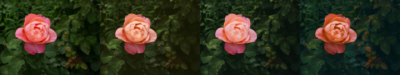 画像: 画像左から　Normal→Sample LUT1→Sample LUT→Sample LUT3
