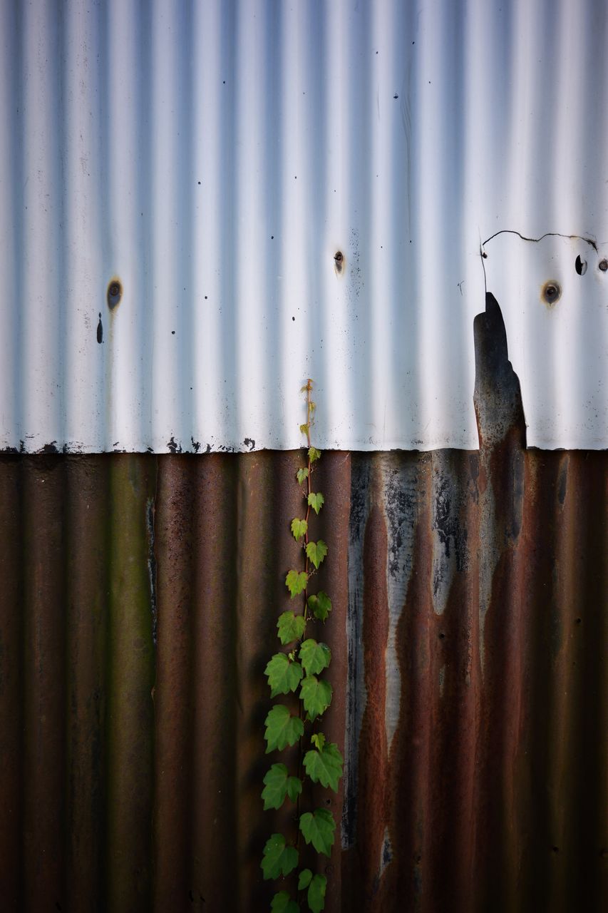 画像: LUMIXは錆と緑がとても気持ち良く出ますねぇ…実に素晴らしい絵作り。何もしてないのに出ちゃう。超ワイドっぽさが出ているような、出てないような不思議な写りで、今回のお気に入りの1枚。買っても良いか？　と思ったのだけれど、20mmだけでウロウロする機会ってあるのかな??　という疑念は消えません。己が凡人が故の疑念だとは思います。 ■絞りF2.5　1/160秒　ISO100　※フォトスタイル：スタンダード