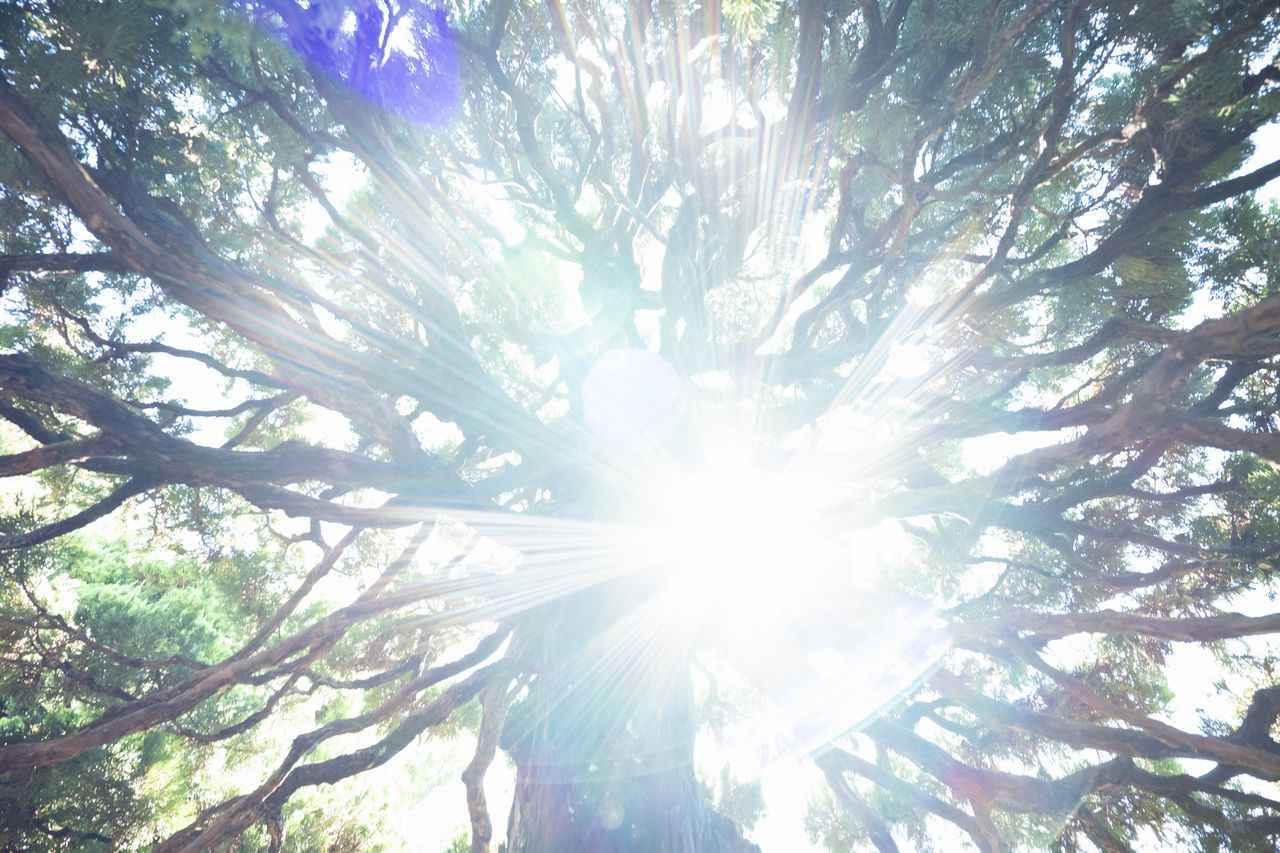 画像: さて本命。コレどーするかなぁ…と頭を抱えました。ピンポイントで弱い位置があって、そこに光源を置くとこんな感じに。流石にこれは「重欠点じゃねぇの？」　という疑問。明暗比の大きくなる夜景は工夫しないとダメな気がしましたが、私のコストの都合でやっていません。ちなみに、これはワーストではなく、四天王です。 ■絞りF5.0　1/125秒　プラス2.7露出補正　ISO3200　※フォトスタイル：スタンダード