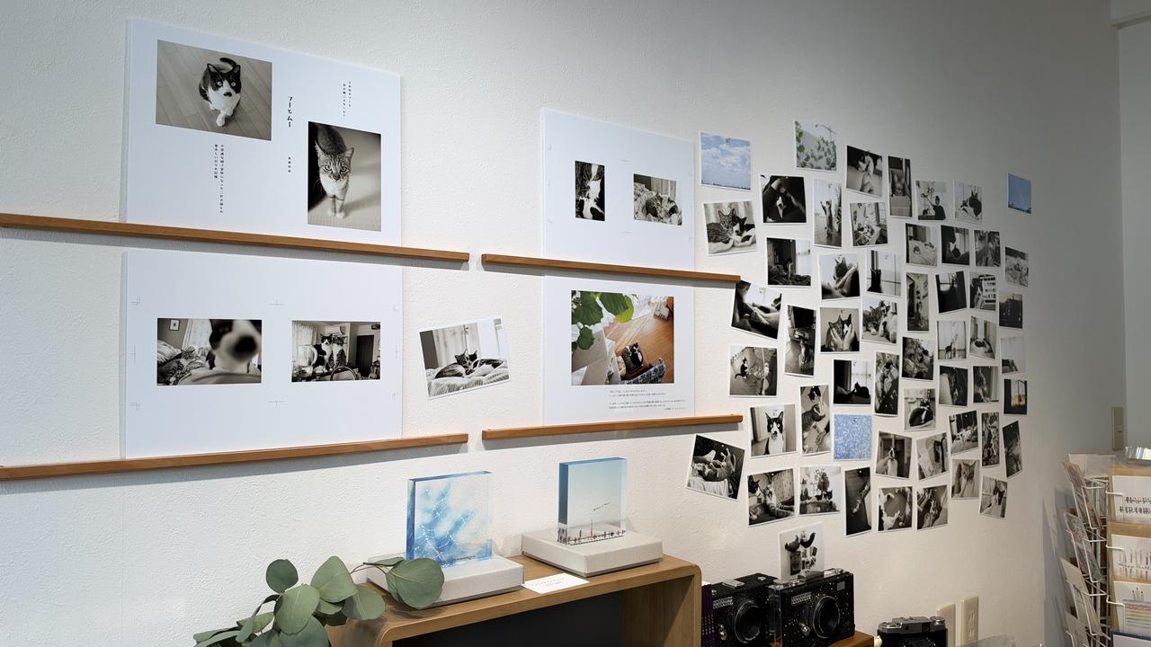画像 : 1番目の画像 - 私家版写真集『フーとムー』出版記念写真展 - Webカメラマン