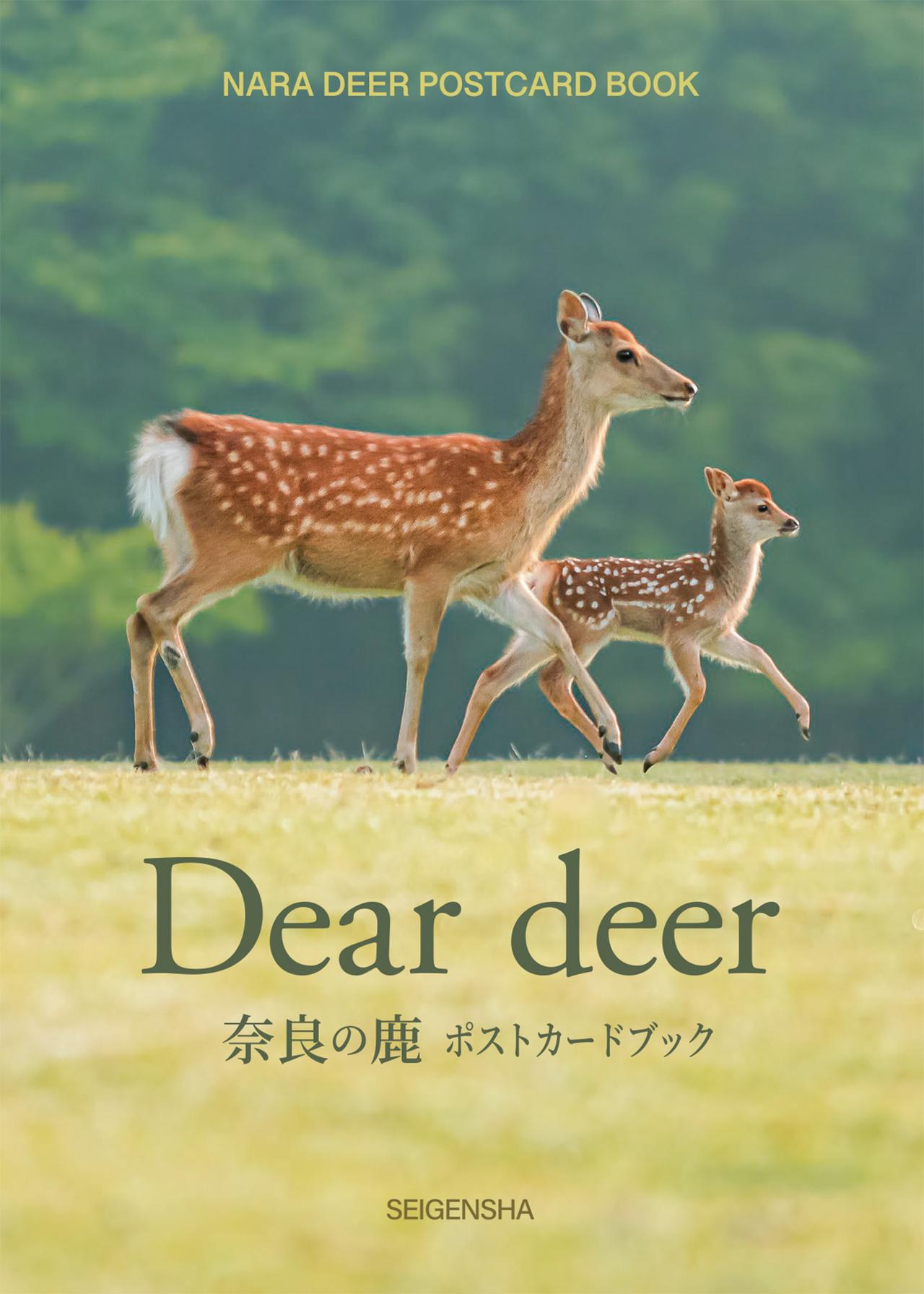 画像: Dear deer 奈良の鹿 ポストカードブック｜青幻舎 SEIGENSHA Art Publishing, Inc.