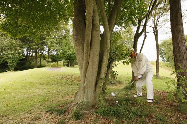 画像: ライの悪い林の中では、それに応じた打ち方を選択する必要がある