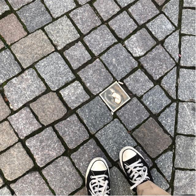 画像: 足元にもネズミが/遠藤撮影