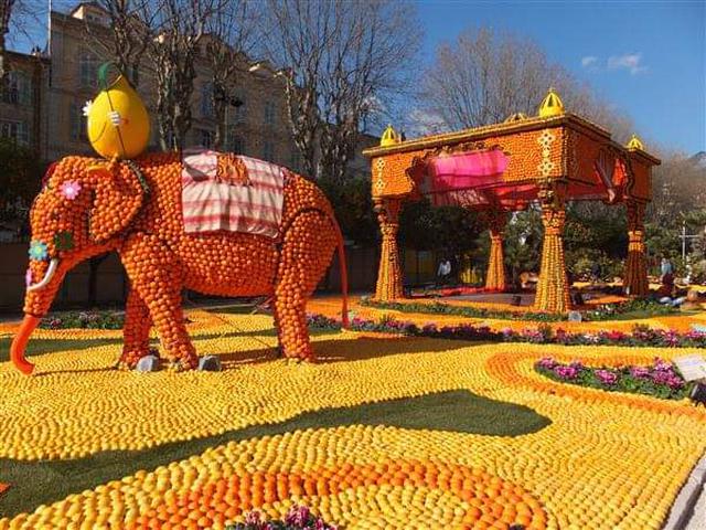 画像2: マントンのレモン祭り/弊社スタッフ撮影