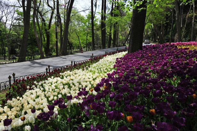 画像: エミルギャン公園(イメージ)