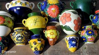 花カレンダー21 5月 一面に広がる花畑 初夏を彩るスペインのひまわり 好奇心で旅する海外 花咲くワールド クラブログ スタッフブログ クラブツーリズム