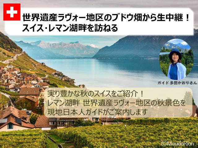 画像2: 【スイス】オンラインツアー開催しました『日本語ガイドが生解説!人気のスイスハイキングコースお散歩気分』