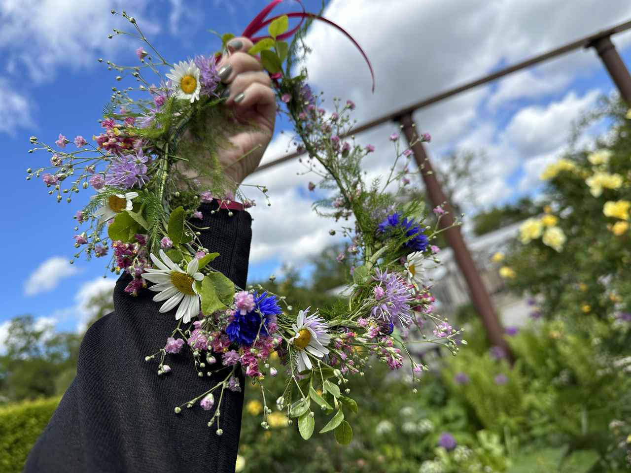 画像: ミッドサマーリース／2025年6月弊社スタッフ撮影