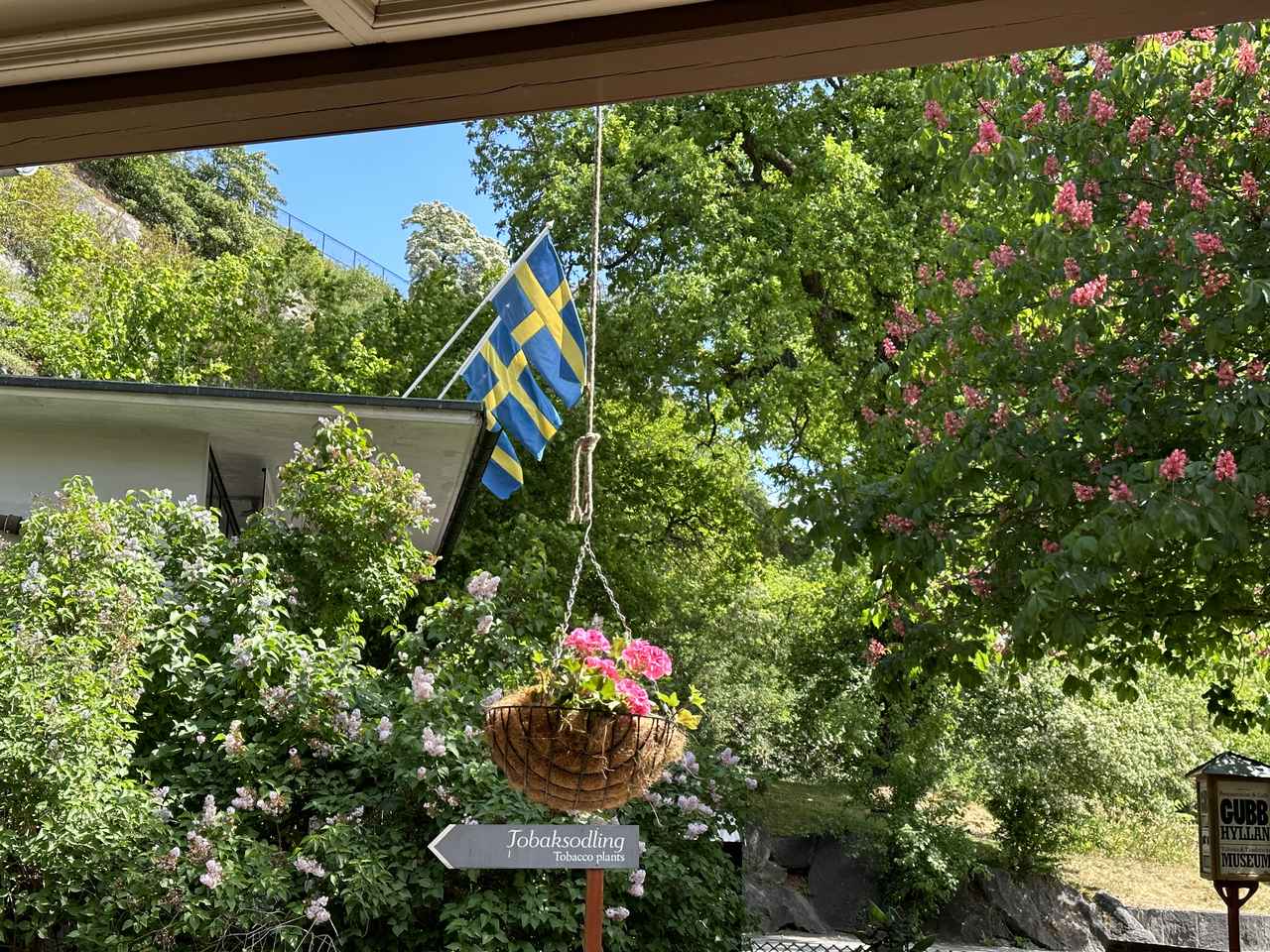 画像1: ストックホルム市内／2025年6月弊社スタッフ撮影