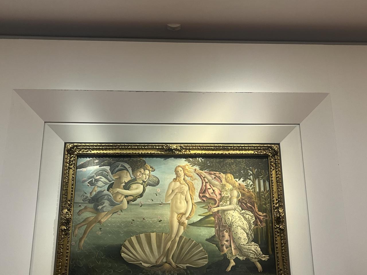 画像: ヴィーナスの誕生（弊社スタッフ　2025年7月撮影）