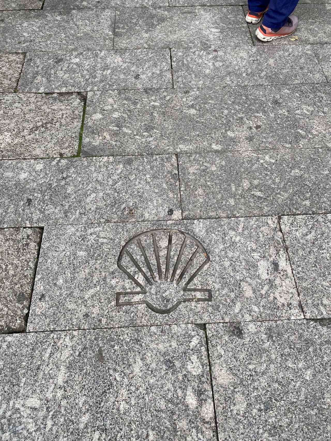 画像: （2025年5月　スタッフ撮影）