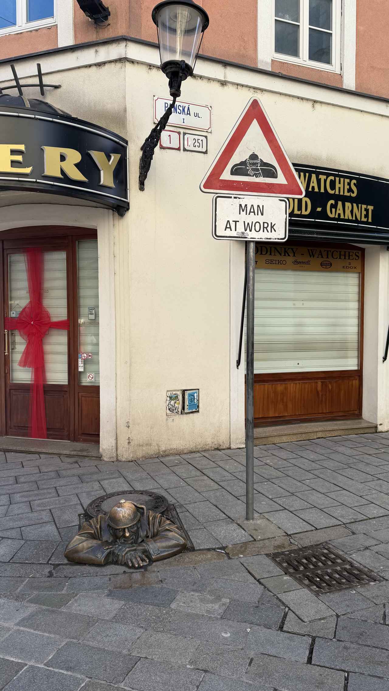 画像: 見つめる君　※弊社社員撮影