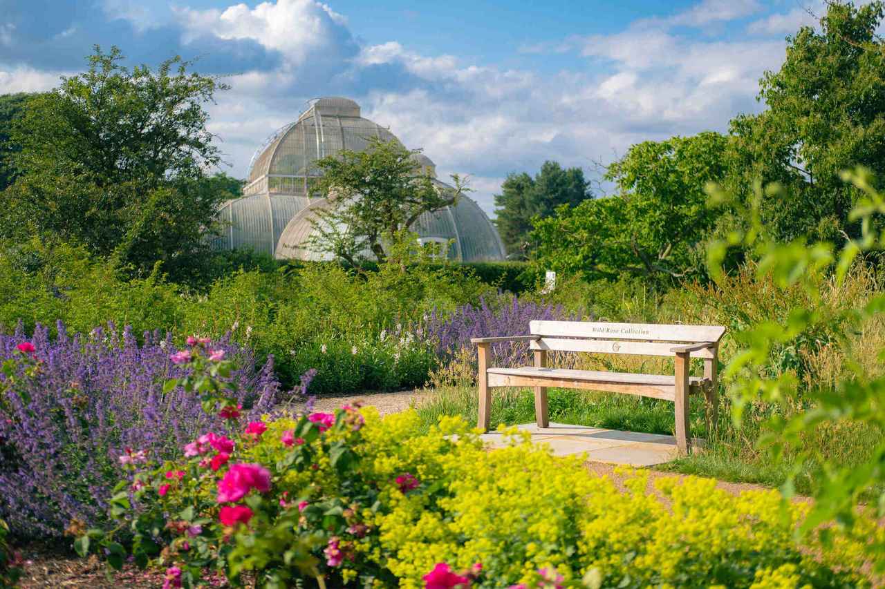 画像: ＜女性おひとり参加限定の旅＞『フィンエアー利用／花と宮殿に癒される　英国ひとり旅6日間』｜クラブツーリズム