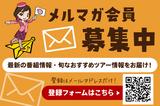 画像1: 【チェコ】プラハだけではない!絵本のような街~チェスキークルムロフの魅力~