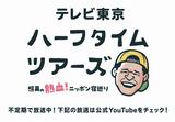 画像3: 【チェコ】プラハだけではない!絵本のような街~チェスキークルムロフの魅力~