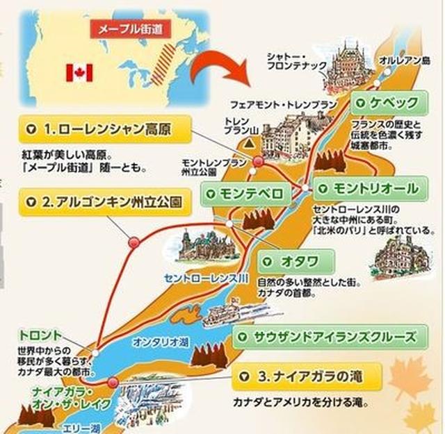 画像2: 1番人気のメープル街道
