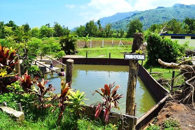 画像: 大自然に囲まれた泥温泉は水着着用で入ります