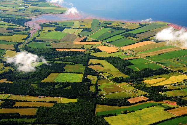 画像: パッチワークのように広がるじゃがいも畑 ©TourismPEI
