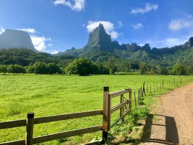 画像: バリハイ山
