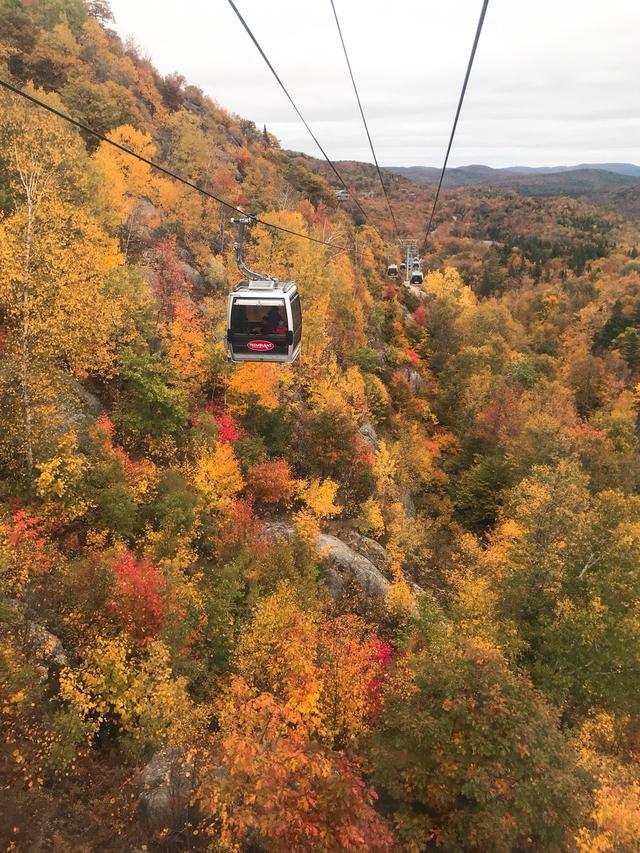 画像: トレンブラン山山頂までのゴンドラは紅葉空中散歩です! 弊社スタッフ撮影
