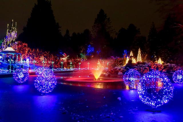 画像2: バンデューセン植物園のライトアップ(イメージ)