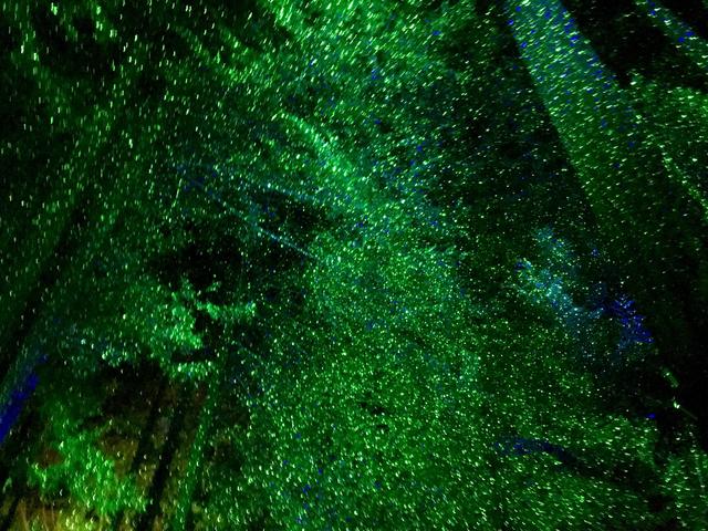 画像2: ブッチャートガーデンのライトアップ(イメージ)