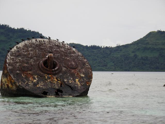 画像: 戦艦武蔵の係留ブイ。今では海鳥の足場に。