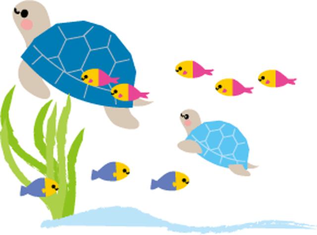 画像: モルディブの魚たち/イメージ