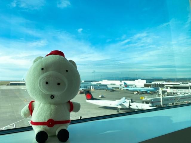 画像: 旅のはじまり!くまぶーもワクワク♪/弊社スタッフ和田撮影