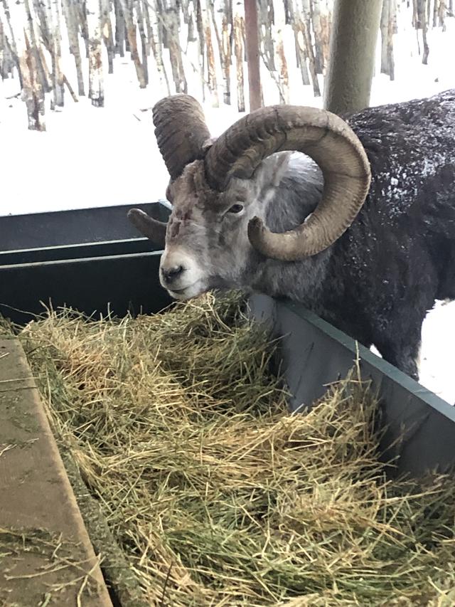 画像3: (野生動物保護区/弊社添乗員撮影)