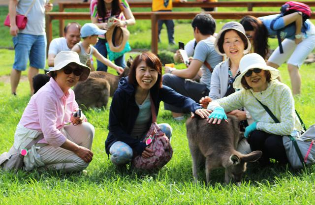 画像: 弊社ツアー参加のお客様:動物とふれあい体験(弊社添乗員撮影)