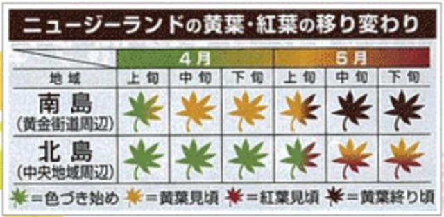 画像1: 弊社HP・ニュージーランド特集ページより抜粋