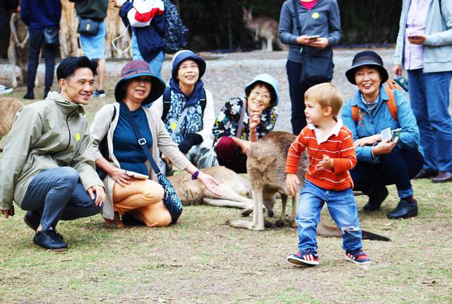 画像: 動物園 年齢問わず、童心にかえって楽しめます♪