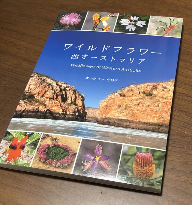 画像2: 花カレンダー2021<1月2回目>
『ユニークなフォルムが気になる多彩なバンクシア/オーストラリア』
【好奇心で旅する海外】<花咲くワールド>