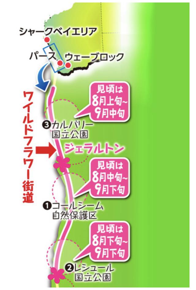 画像: クラブツーリズムHPより ※見頃は花の種類にもより異なります