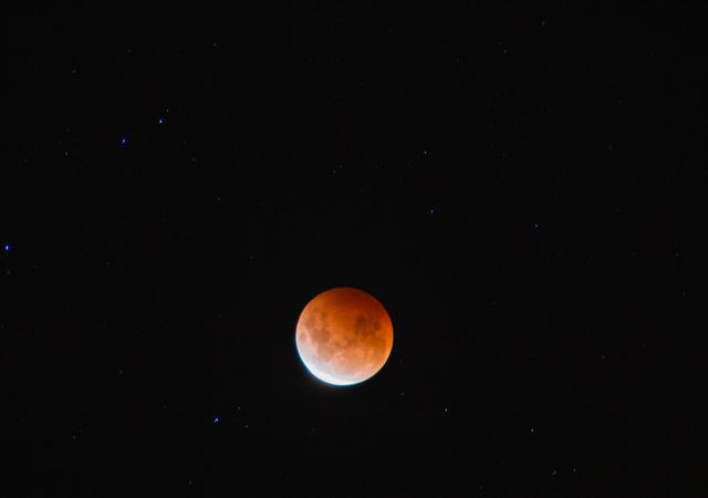 画像: 皆既月食2021(【クライストチャーチ】©2021 Hide Ozawa All Rights Reserved