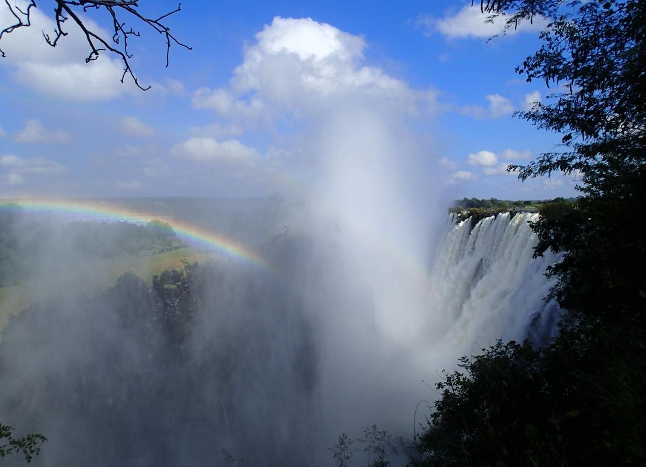 画像: ザンビア側からの景色（弊社スタッフ撮影）