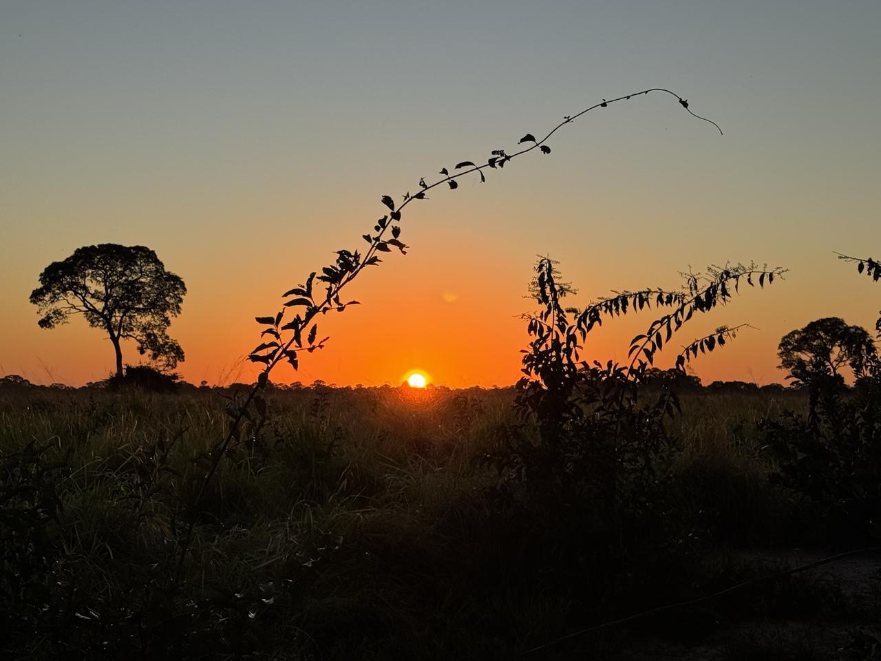 画像: 朝日観賞(弊社添乗員撮影)