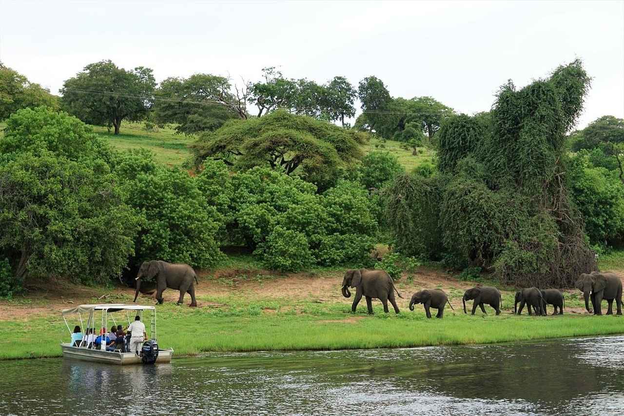 画像: 『絶景と感動の連続　煌めきの南部アフリカ4か国８日間』｜クラブツーリズム