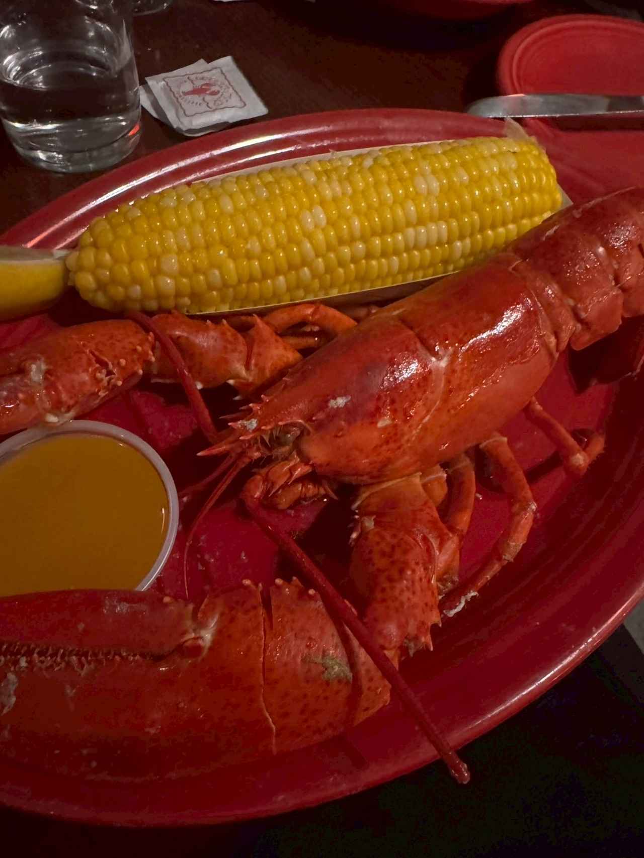 画像: ロブスター（弊社スタッフ撮影）