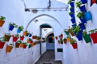 画像1: ティトゥアン旧市街の街並み（弊社スタッフ撮影）