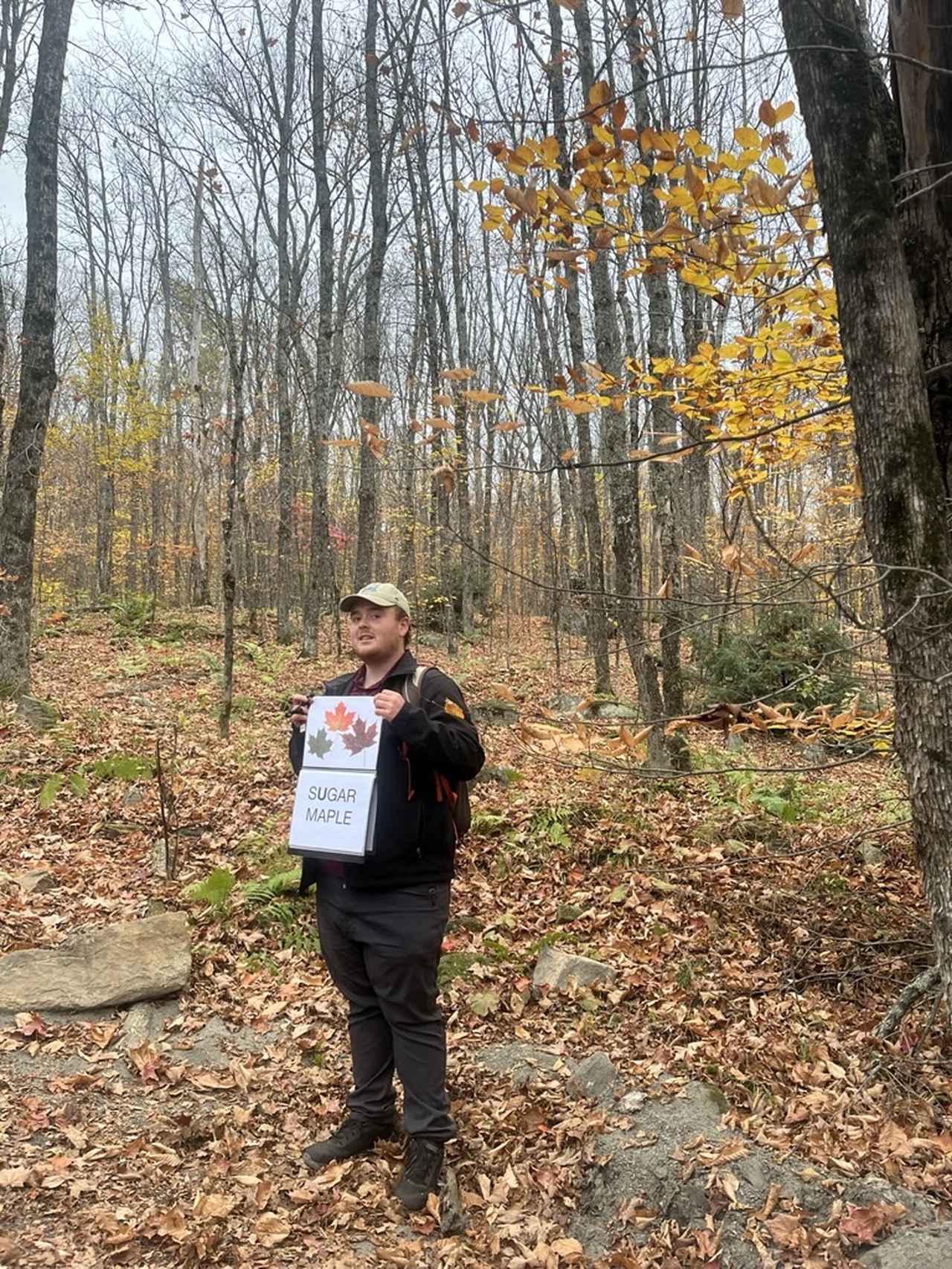 画像: 専門ガイドによる説明（弊社スタッフ撮影）